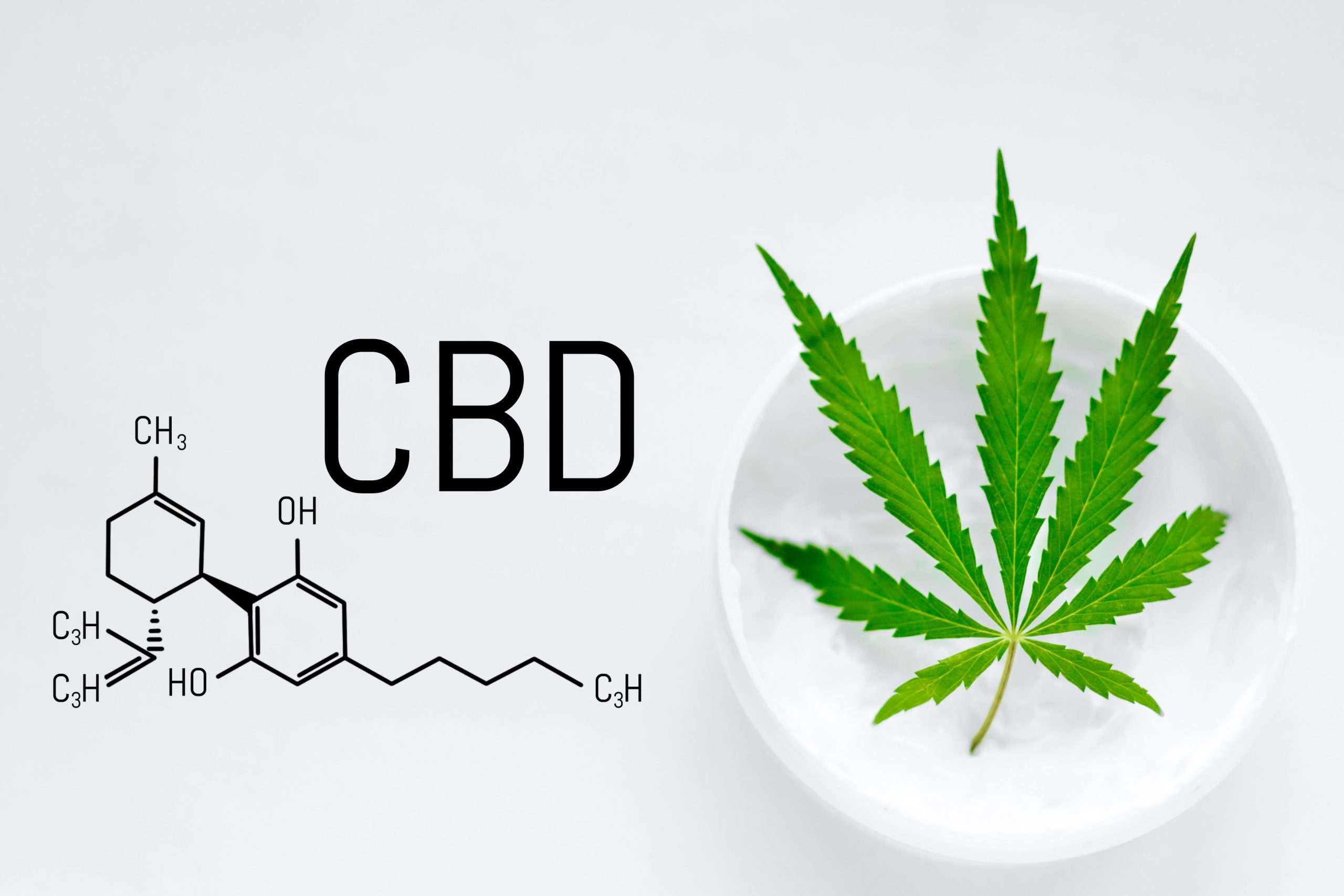 Reasons to Buy CBD Products From a Marijuana Dispensary Near Van Nuys