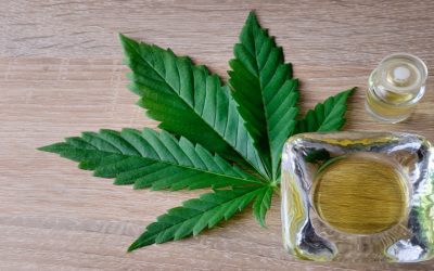 Finding Wellness Solutions at a Cannabis Store Orange County CA Grown for Calm