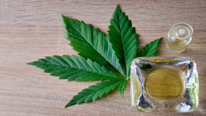 Finding Wellness Solutions at a Cannabis Store Orange County CA Grown for Calm